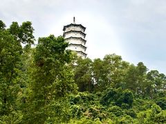 -深圳国际园林花卉博览园