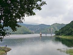-燕塞湖鸟语林景区