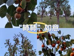 -汉长安城未央宫国家考古遗址公园