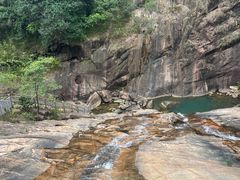 -广州白江湖森林公园