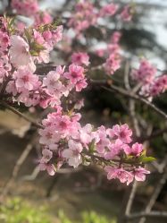 -大望京儿童游乐场