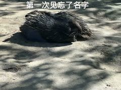 -青藏高原野生动物园