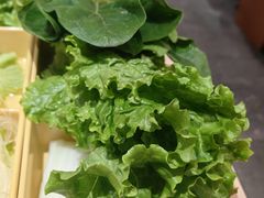 -呷哺呷哺 黄金牧场 (天津熙悦汇店)