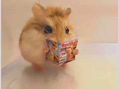 -京都亭(沙柳路店)