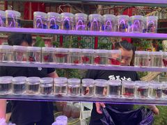 -华声天桥民俗文化园