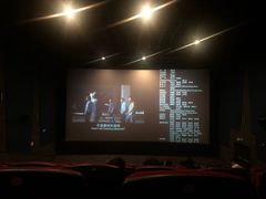 -万达影城(汉街万达广场IMAX店)