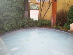 -仁爱团泊湖温泉中心