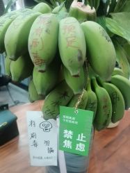 -韩国丽安形象设计