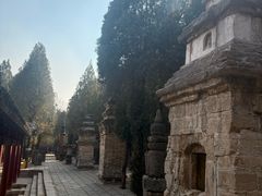 -四门塔风景区