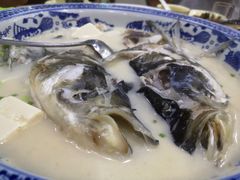 -全乐鱼馆·淳牌有机鱼直营店