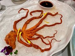 冰镇八爪鱼-神仙馆(衡山路店)