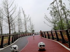 -府河摄影公园