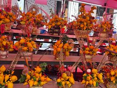 -越秀西湖花市(广州城市广场花卉店)