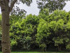 -白鹭湾湿地公园