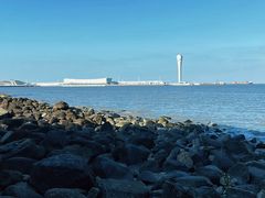-上海吴淞炮台湾国家湿地公园