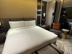 -新加坡瑞士史丹福酒店