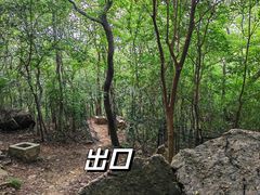 -紫金山山顶公园