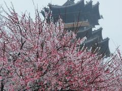 -杭州半山国家森林公园