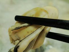 -蚝乡农庄(铁涌赤岸店)