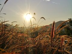 -白石龙音乐公园
