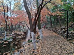 -虞山风景区