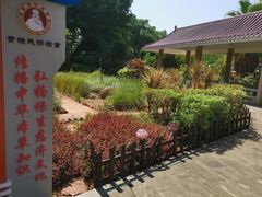 -青礁慈济宫