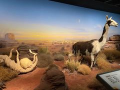 -陕西自然博物馆