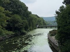 -西湖游船