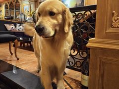 -火车头法国西餐厅