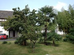 景点-太阳岛旅游度假区