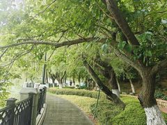 -大连植物园