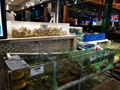 水产区-喷泉广场餐厅·宵夜·海鲜烧烤大排档(长隆企鹅酒店)
