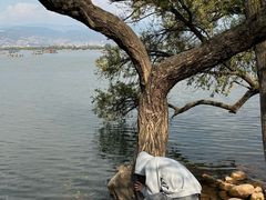 -西昌邛海湿地