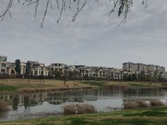 -两河城市森林公园