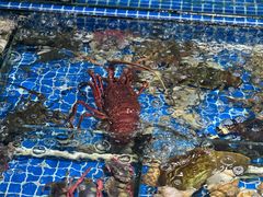 -霞涌市场海鲜摆卖区
