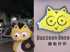 -浣熊唱片店(上海影城店)