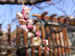 -静安雕塑公园