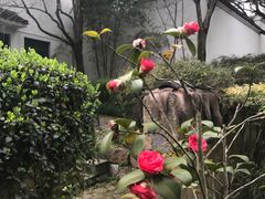 -法云安缦酒店