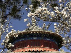 -大钟寺古钟博物馆