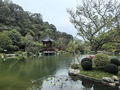 -云溪植物园