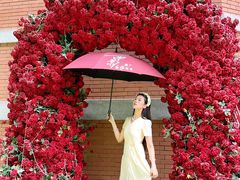 -西安电影制片厂