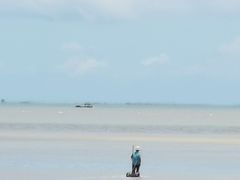 -北海金海湾红树林生态旅游区