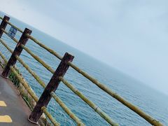 -广东惠东海龟国家级自然保护区