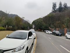 -桃花岭景区