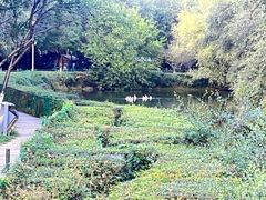 -长白岛森林公园