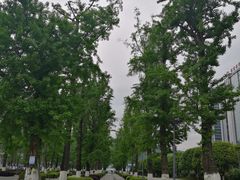 -两江幸福广场