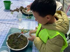 -嘉北郊野公园