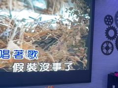 -CIAO·团建聚餐·生日派对轰趴馆(福田店)