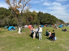 -昆山城市生态森林公园