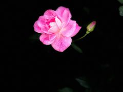 -人民公园(罗湖区)